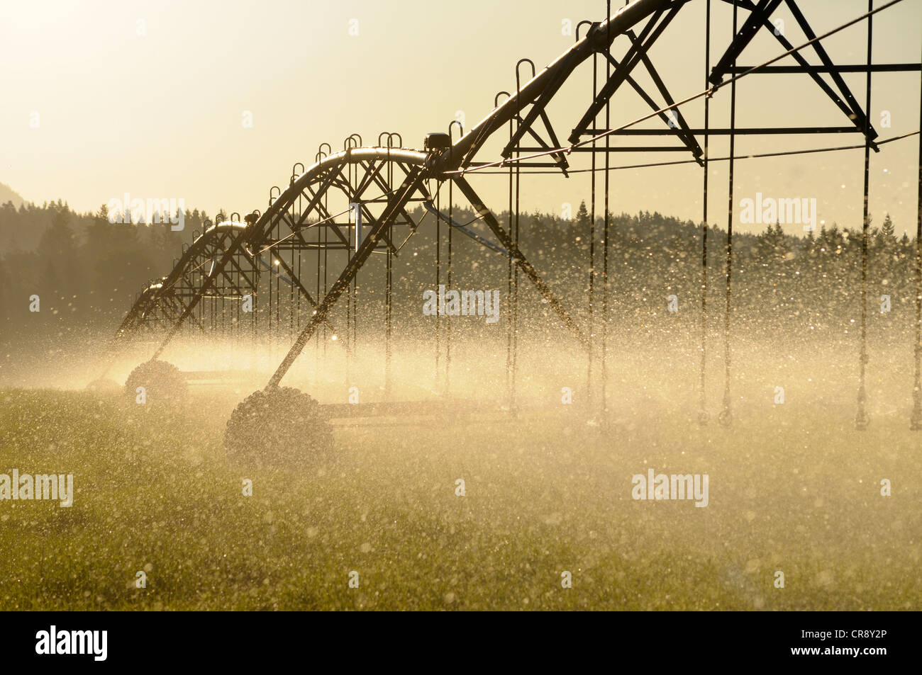 L'irrigation agricole dans la vallée de Cowichan, île de Vancouver, Colombie-Britannique, Canada Banque D'Images