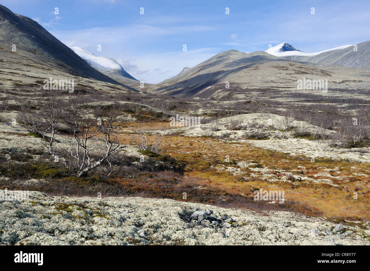 Fjell paysage en face de montagnes couvertes de neige dans le Parc National de Rondane, Norvège, Europe Banque D'Images