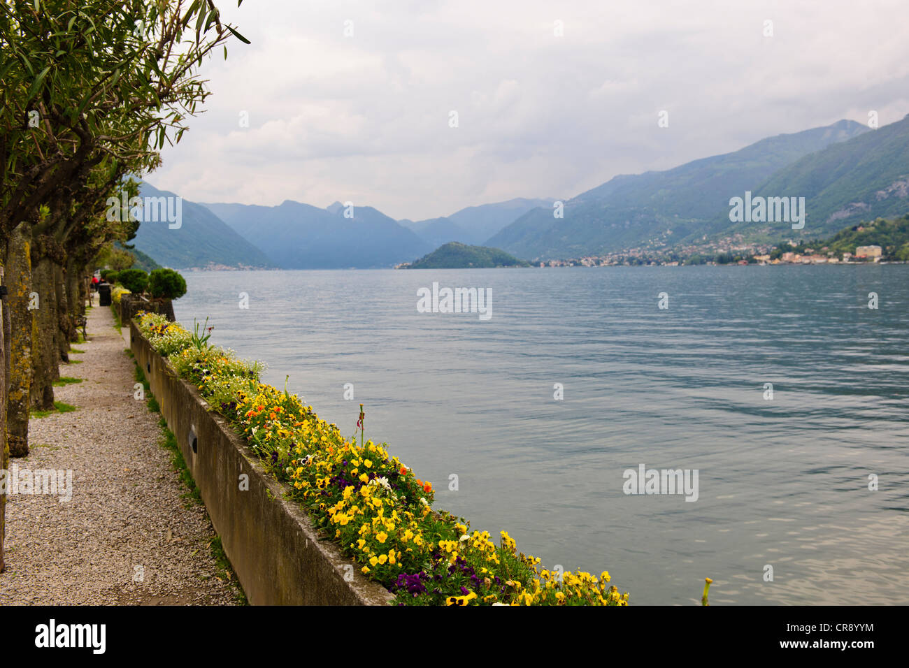 Vue panoramique,vue magnifique sur le lac du Bellagio,Villes, Candenabbia,Tremezzo, Menagio,Villas de luxe, les lacs italiens, le lac de Côme, Italie Banque D'Images