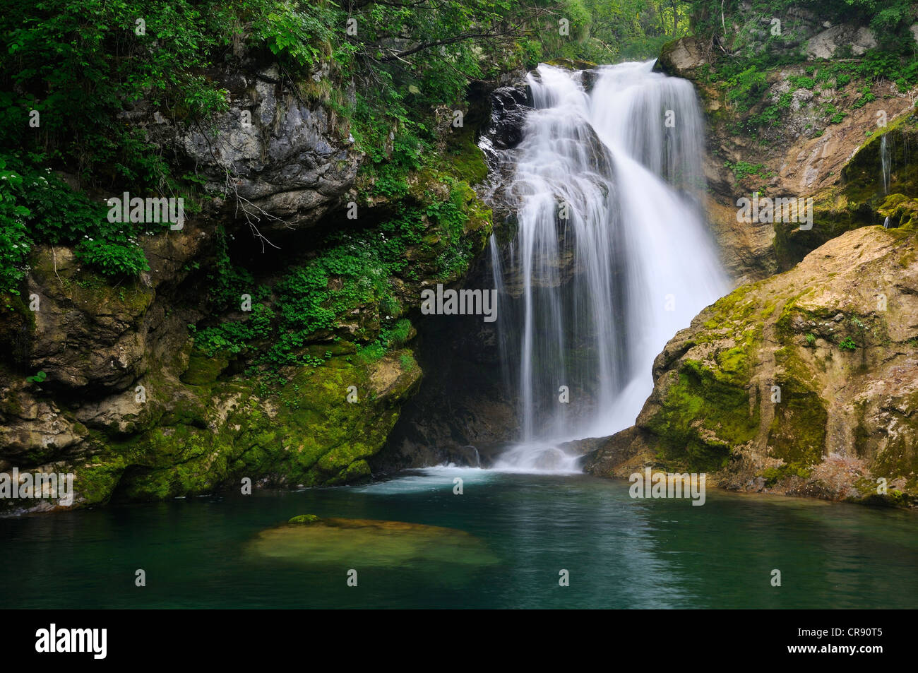 Aeum Cascade, rivière Radovna, Gorges de Vintgar, Slovénie, Europe Banque D'Images