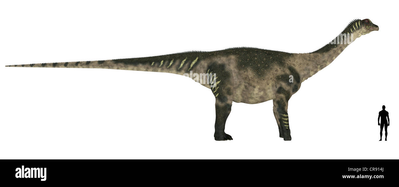 Illustration d'une comparaison de la taille d'un adulte Antarctosaurus avec une moyenne des adultes de sexe masculin (1,8 mètres) Banque D'Images