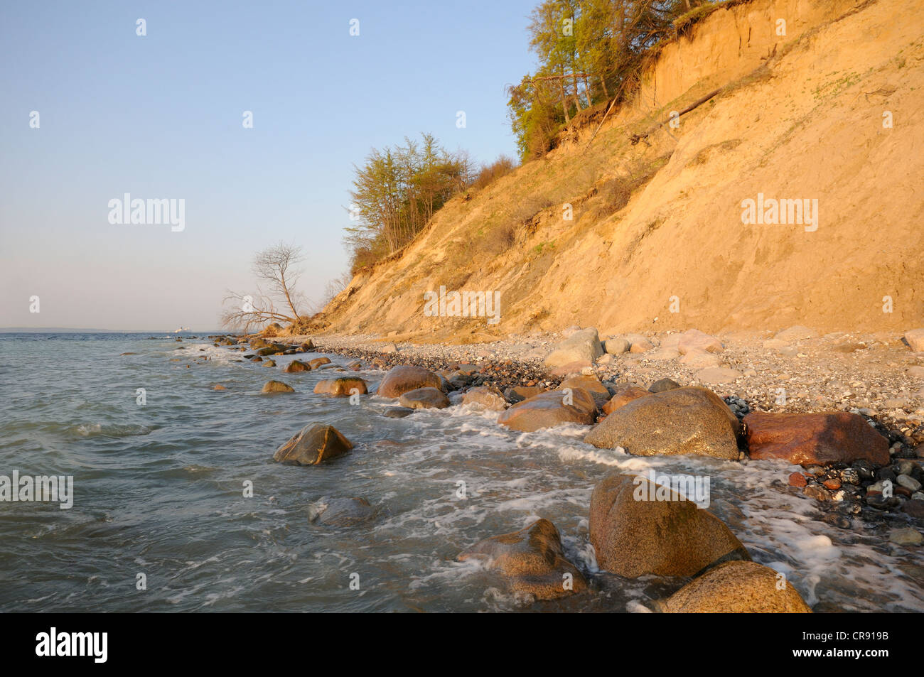 Côte de la mer Baltique dans le Parc National de Jasmund, Rügen, Mecklembourg-Poméranie-Occidentale, Allemagne, Europe Banque D'Images