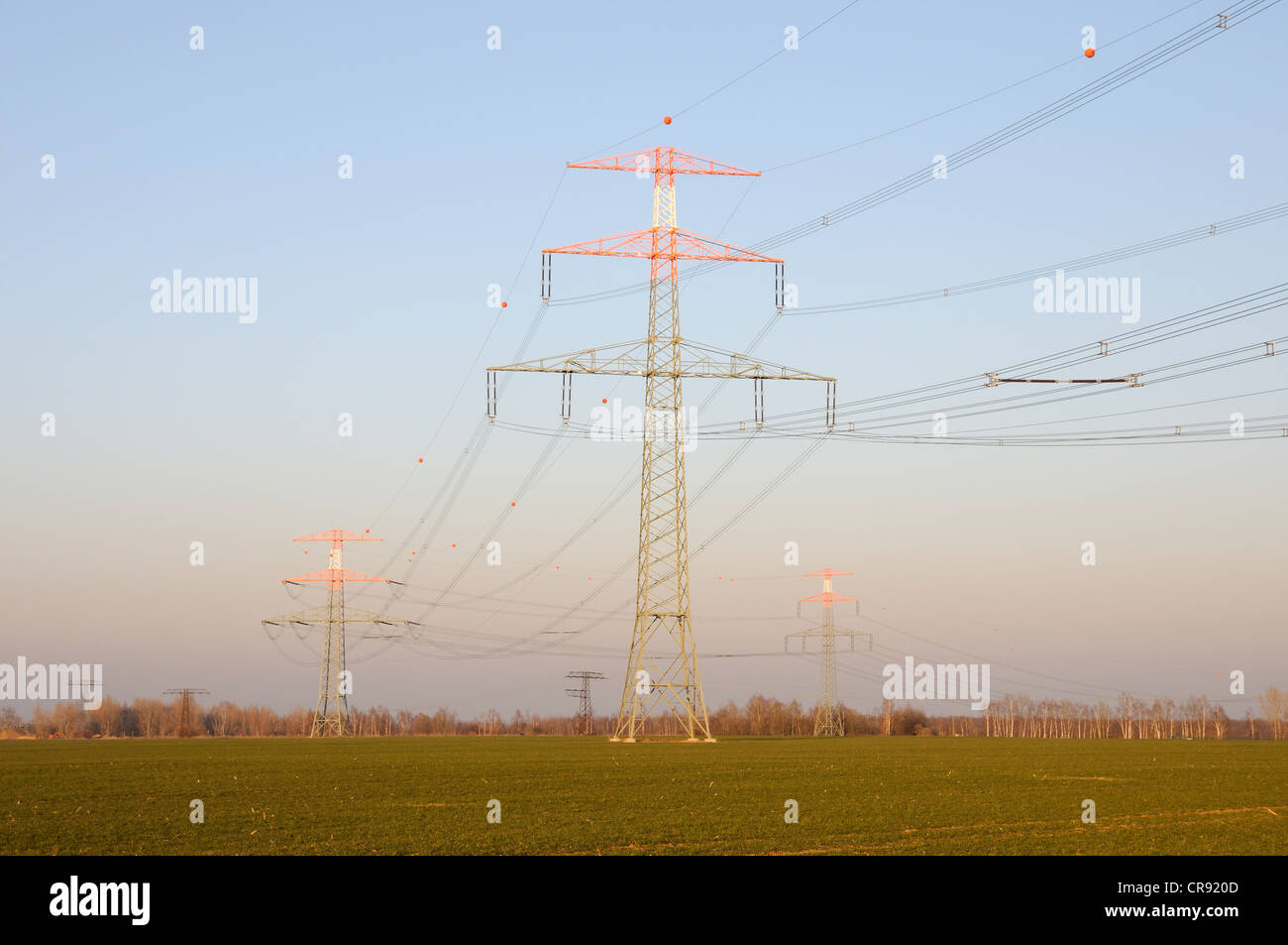 Pylônes électriques sur un champ, Zwenkau, Saxe, Allemagne, Europe Banque D'Images