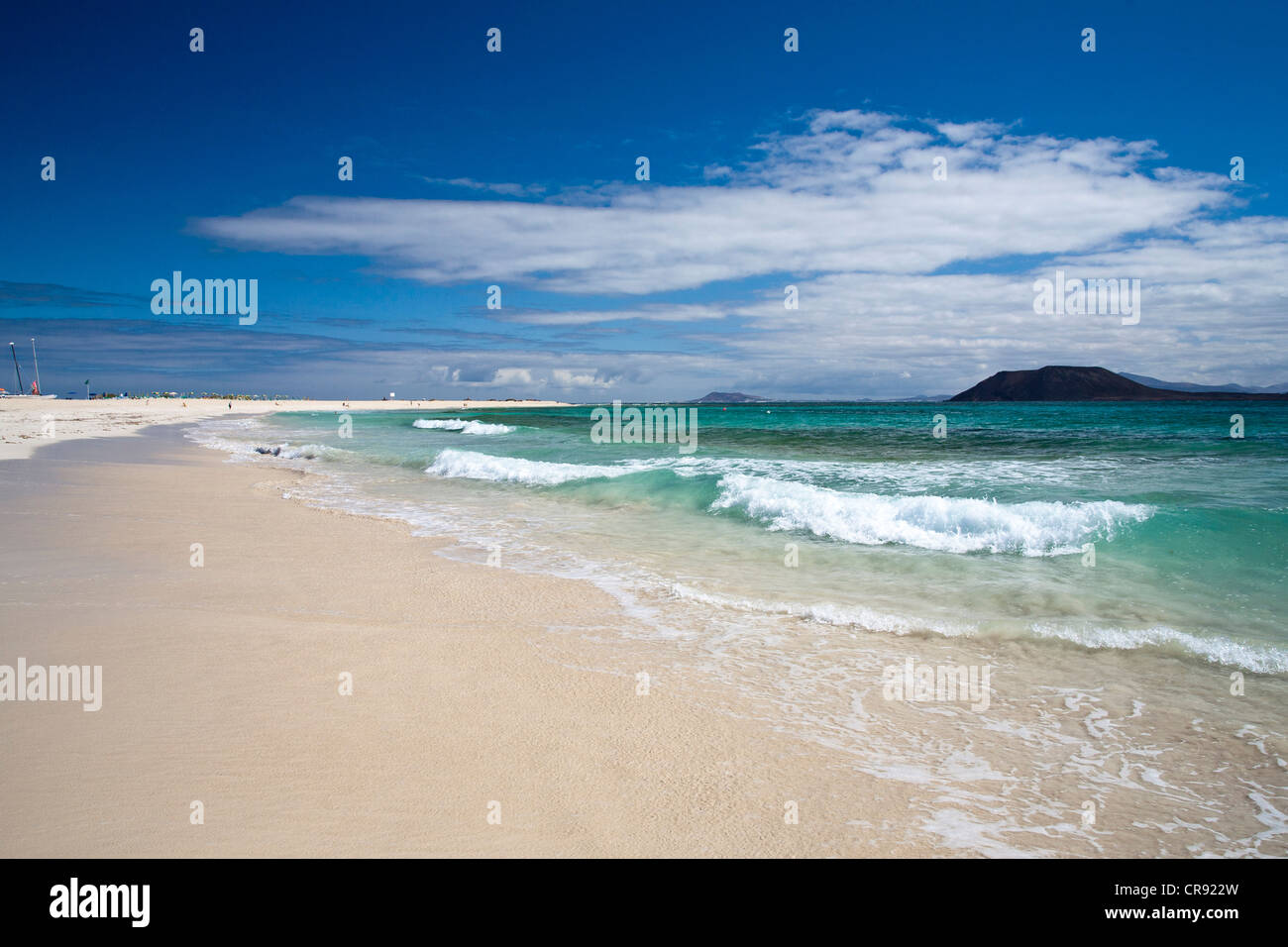 Windsurf et Kitesurf Beach Flag, Fuerteventura, Îles Canaries, Espagne Banque D'Images