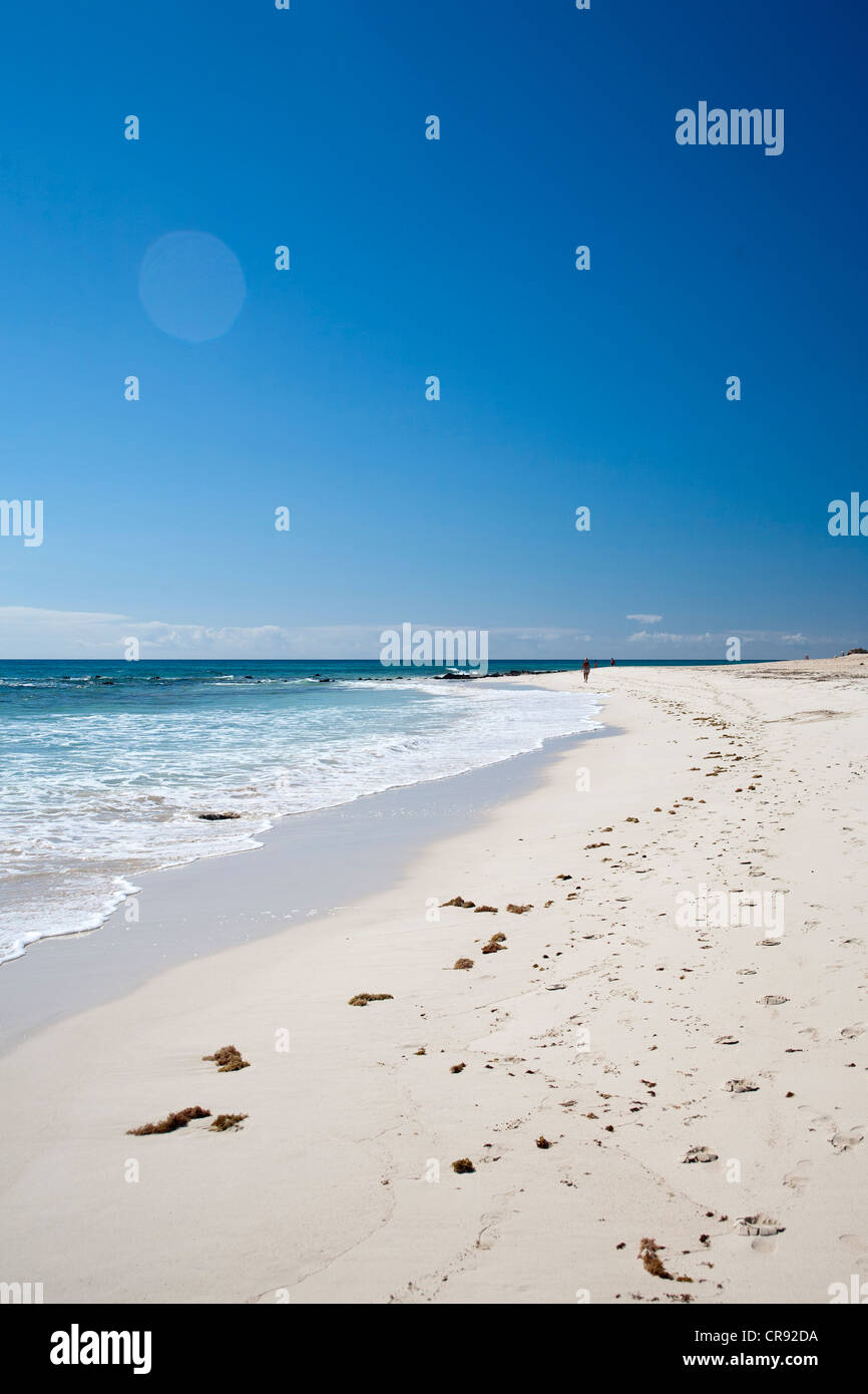 Windsurf et Kitesurf Beach Flag, Fuerteventura, Îles Canaries, Espagne Banque D'Images