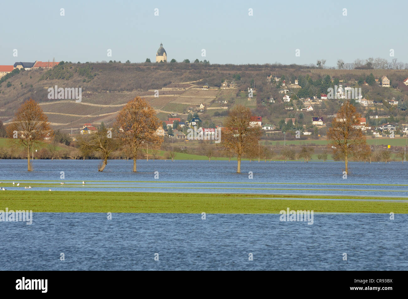 Les inondations dans les régions des rivières Saale-Unstrut, Saxe-Anhalt, Allemagne, Europe Banque D'Images