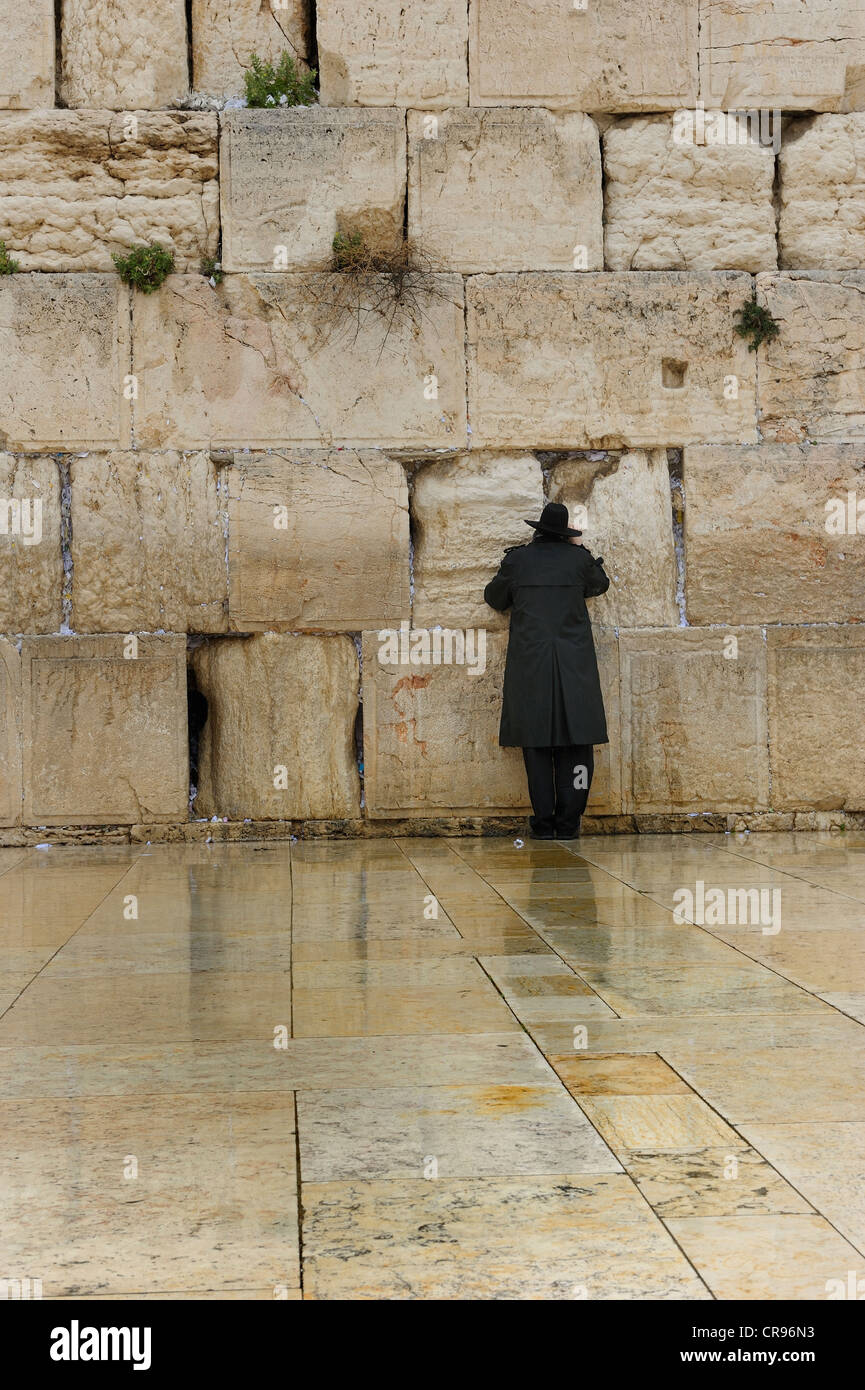 Juif orthodoxe priant au Mur des lamentations, vieille ville, Jérusalem, Israël, Moyen Orient Banque D'Images