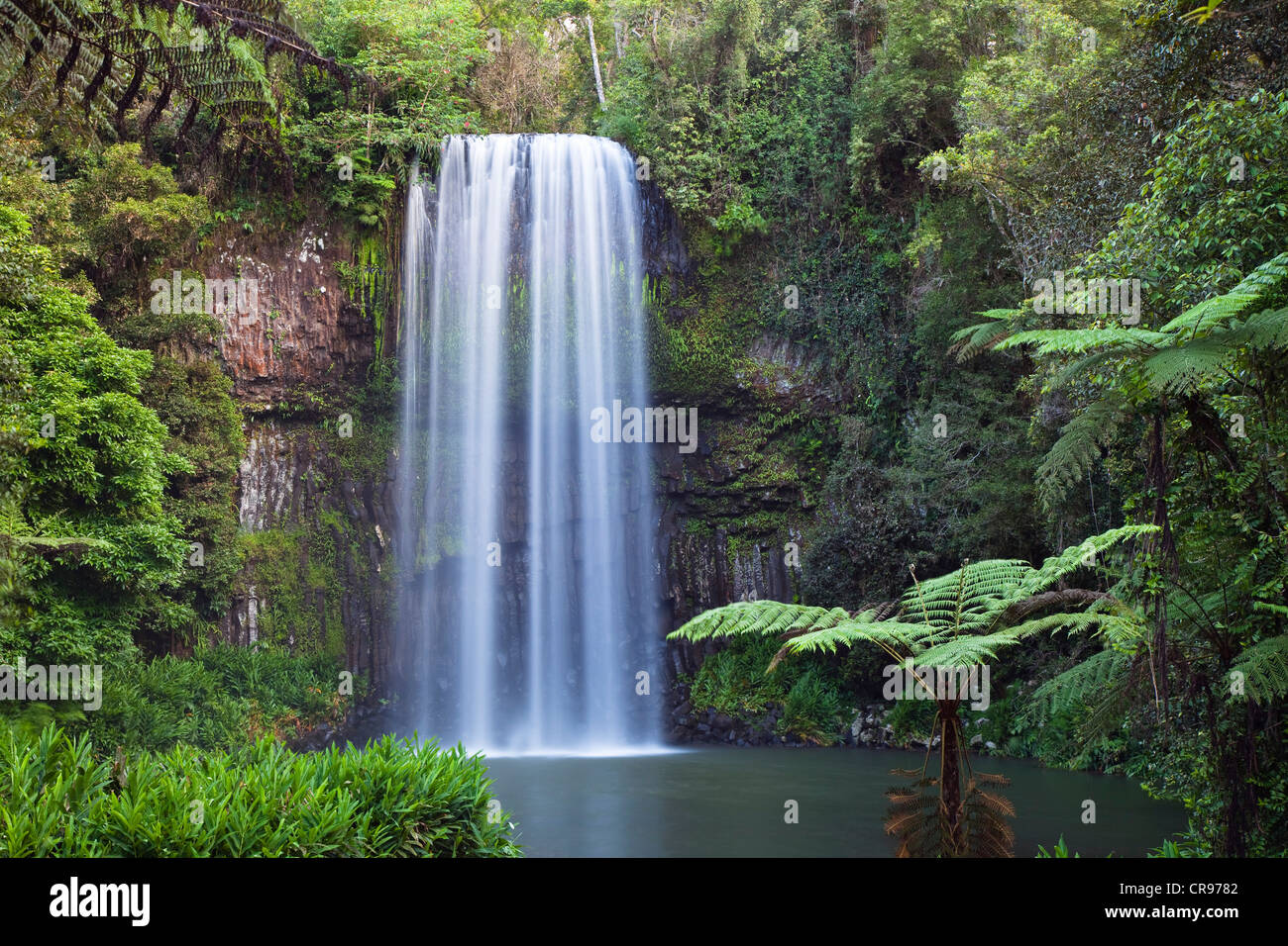 Millaa Millaa Falls, Atherton Tablelands, Queensland, Australie Banque D'Images