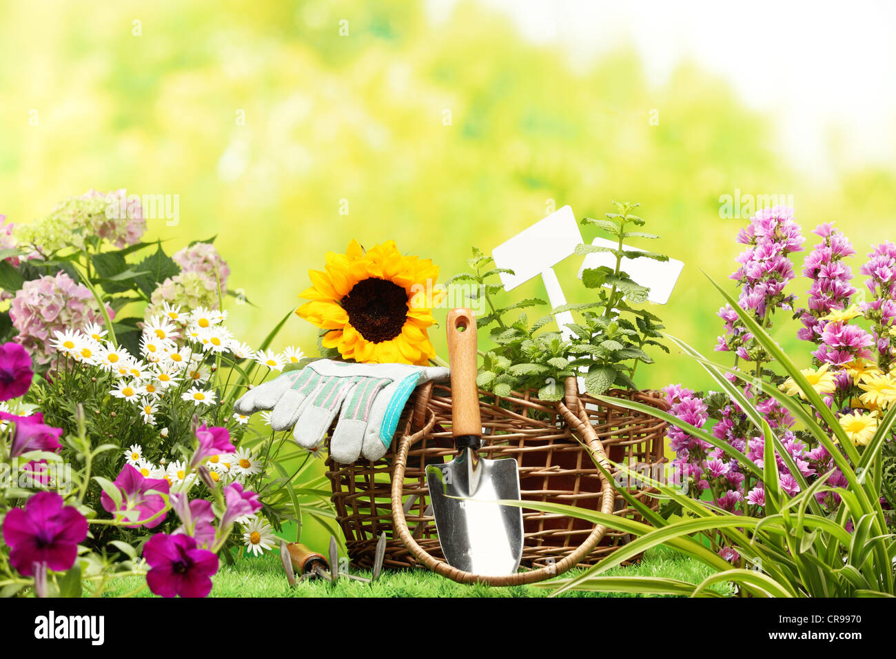 Outils de jardinage et de fleurs en plein air Banque D'Images