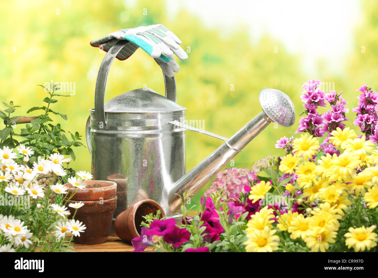 Outils de jardinage et de fleurs en plein air Banque D'Images