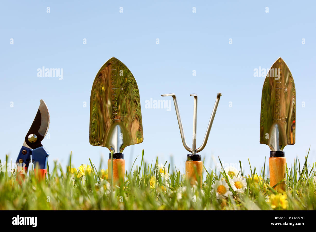 Rangée d'outils de jardinage sur l'herbe. Banque D'Images