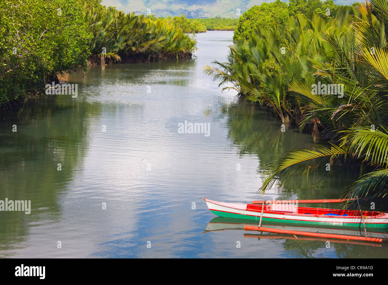 Canoë sur la rivière, île de Bohol, Philippines Banque D'Images