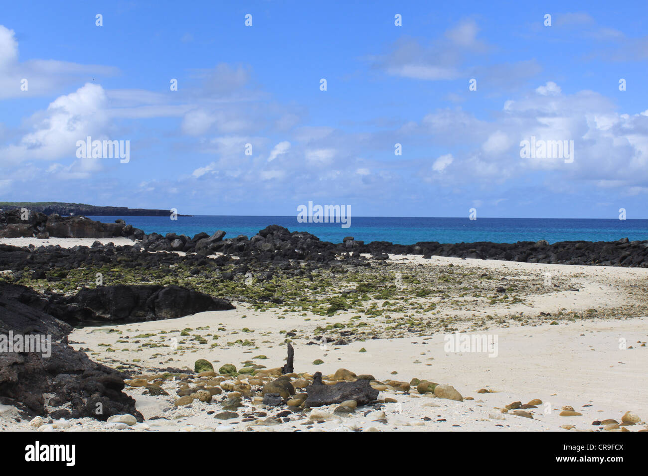 Plage sur l'île de Genovesa aux Galapagos Banque D'Images