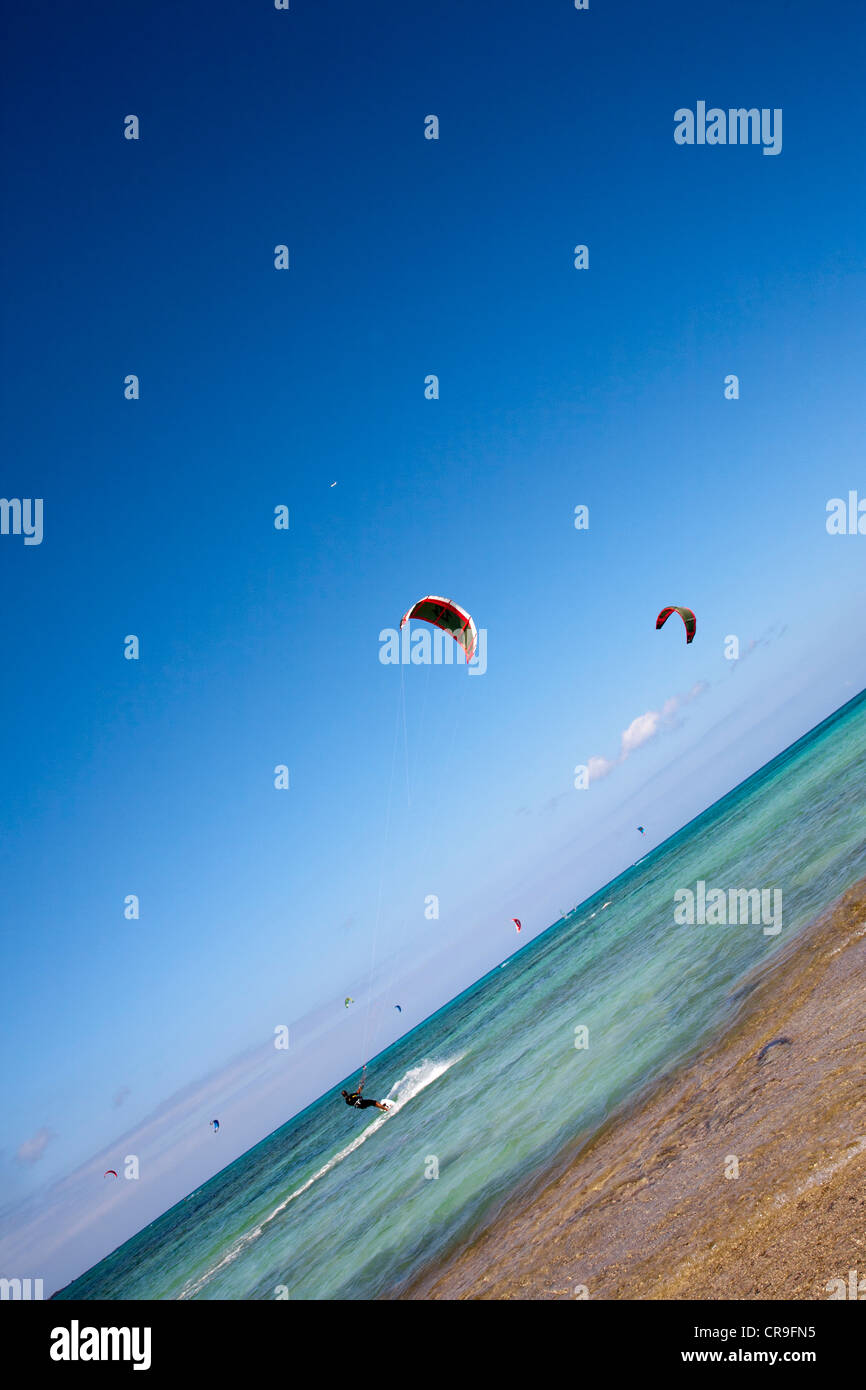 Windsurf et Kitesurf Beach Flag, Fuerteventura, Îles Canaries, Espagne Banque D'Images