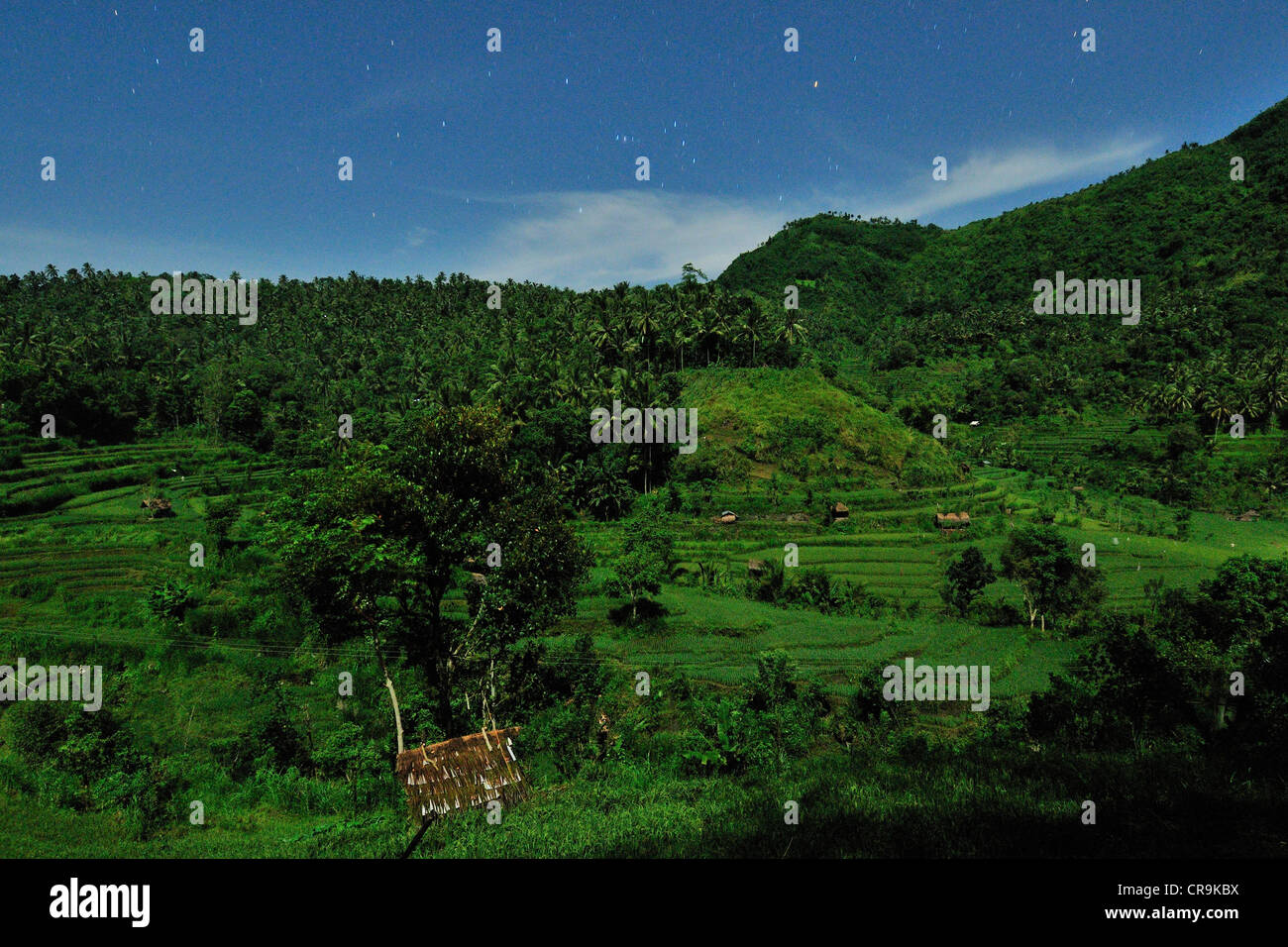 Vision de nuit Tirtaganggaa de rizières en terrasses, Bali, Indonésie, Asie Banque D'Images