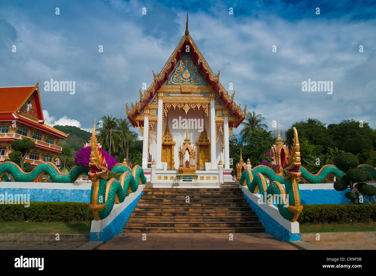 Serpents sur l'escalier de Wat temple bouddhiste de Karon à Phuket, Thaïlande Banque D'Images