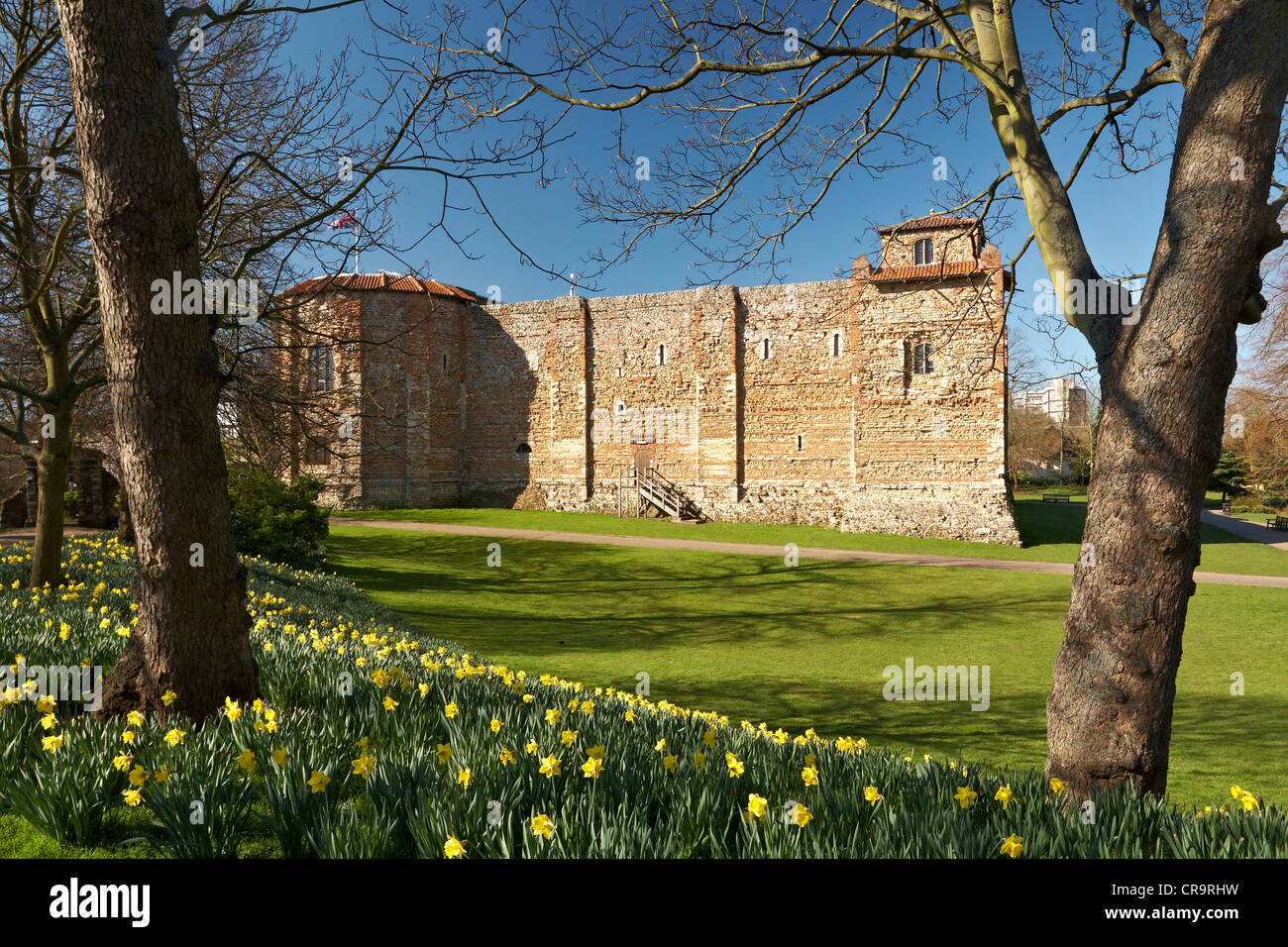 Grande-bretagne Angleterre Essex Colchester Castle Museum Château supérieur Park Printemps Banque D'Images