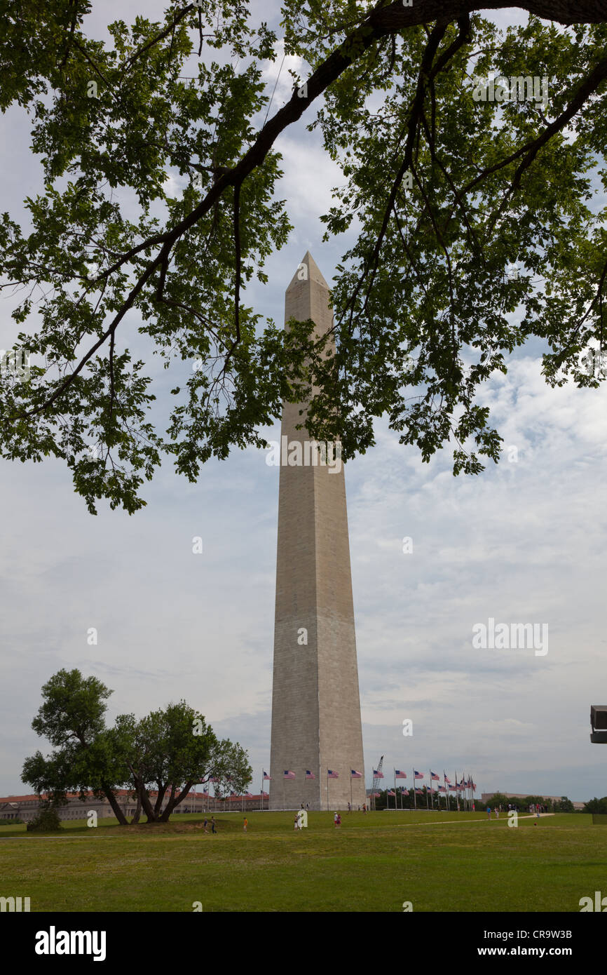 Vue sur le Washington Monument de loin à travers les arbres Banque D'Images