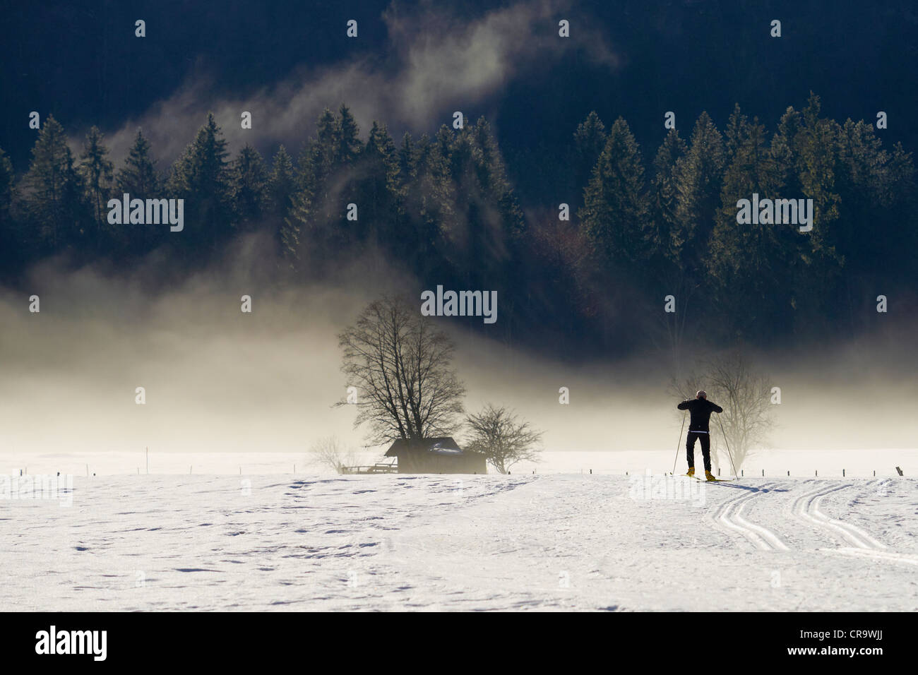 Ski nordique dans les traces autour d'Oberstdorf Banque D'Images