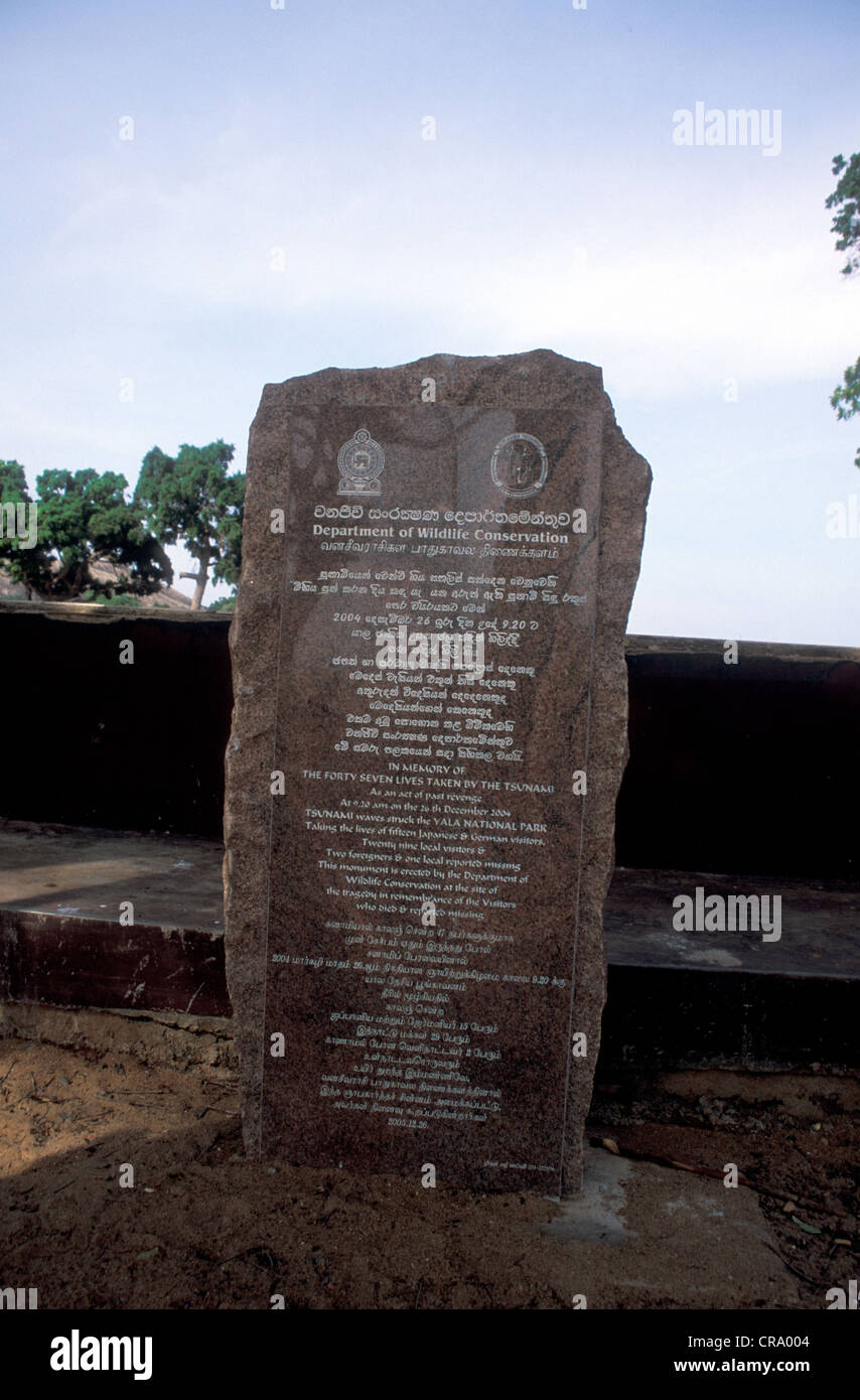 Cof aux victimes du tsunami au parc national de Yala, au Sri Lanka Banque D'Images