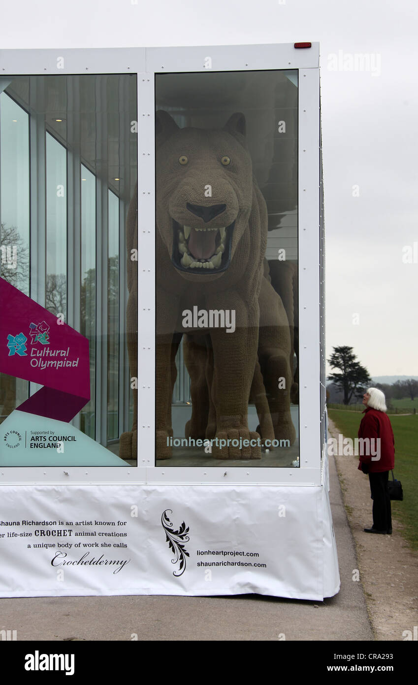 Le projet Lion par Shauna Richardson Banque D'Images