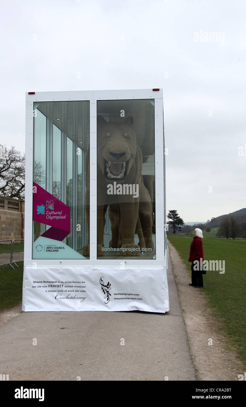 Le projet Lion par Shauna Richardson Banque D'Images