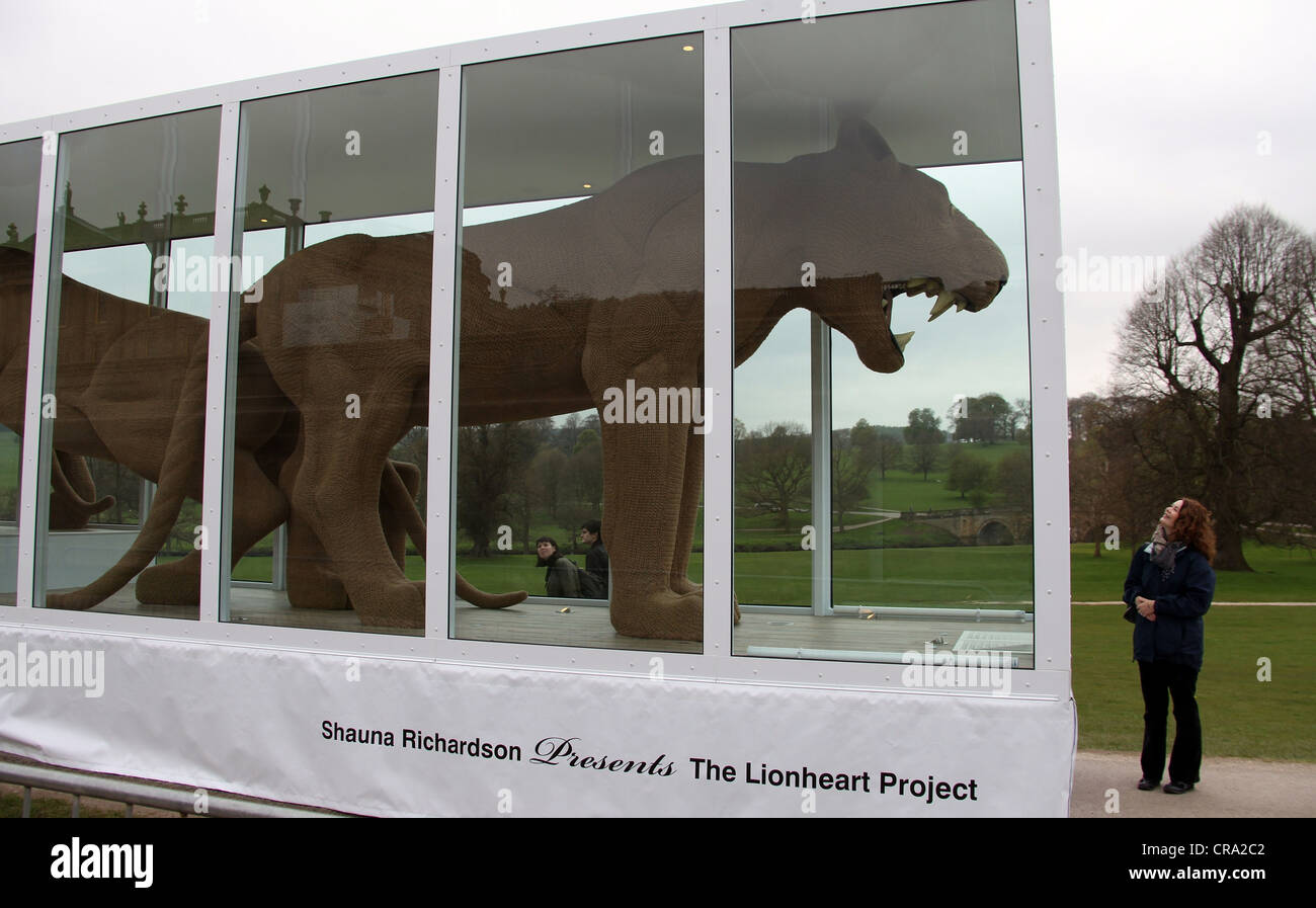Le projet Lion par Shauna Richardson Banque D'Images