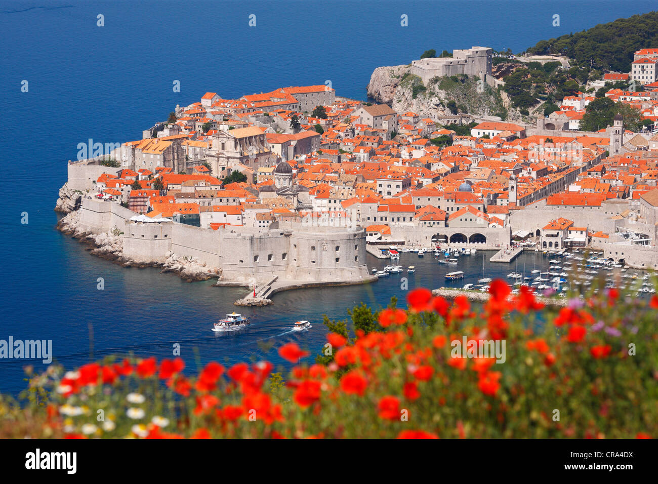La vieille ville de Dubrovnik Banque D'Images