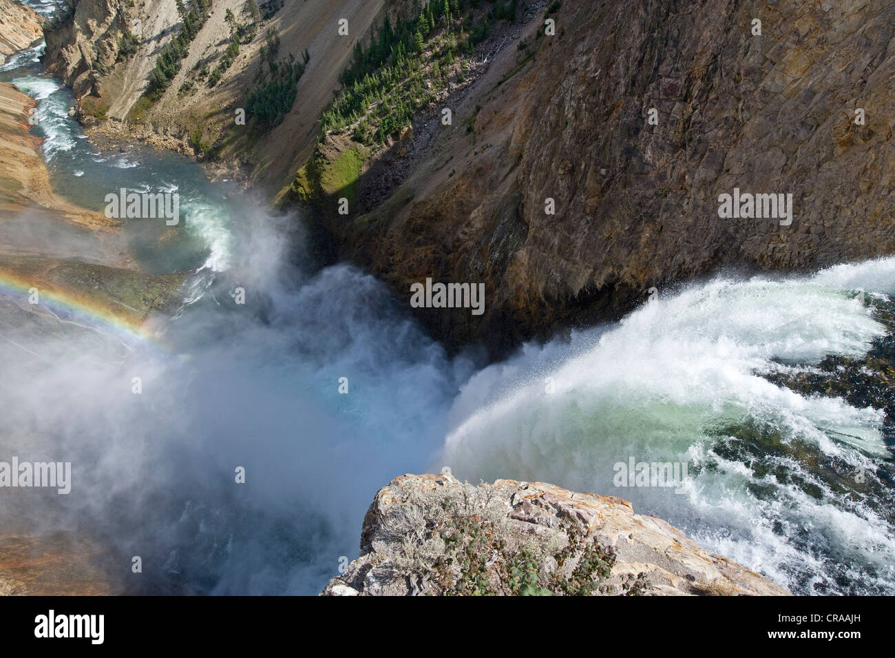 Lower Falls, Canyon de Yellowstone, Wyoming, USA Banque D'Images