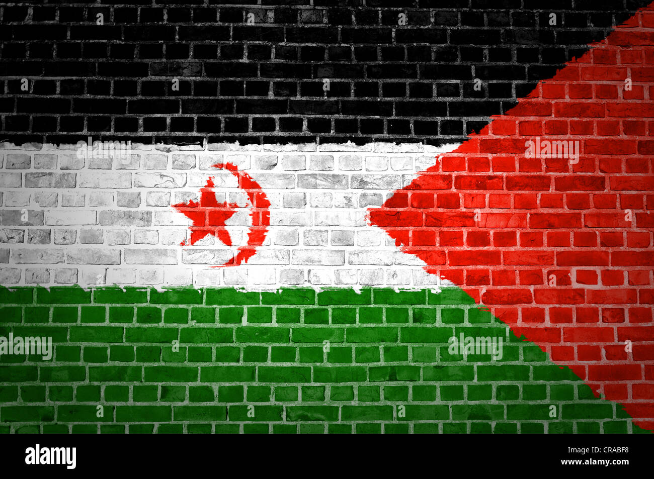 Une image du Sahara occidental d'un drapeau peint sur un mur de briques dans une localisation urbaine Banque D'Images