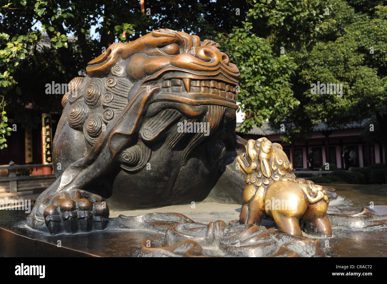 Belle lions de cuivre dans un jardin de Suzhou Banque D'Images