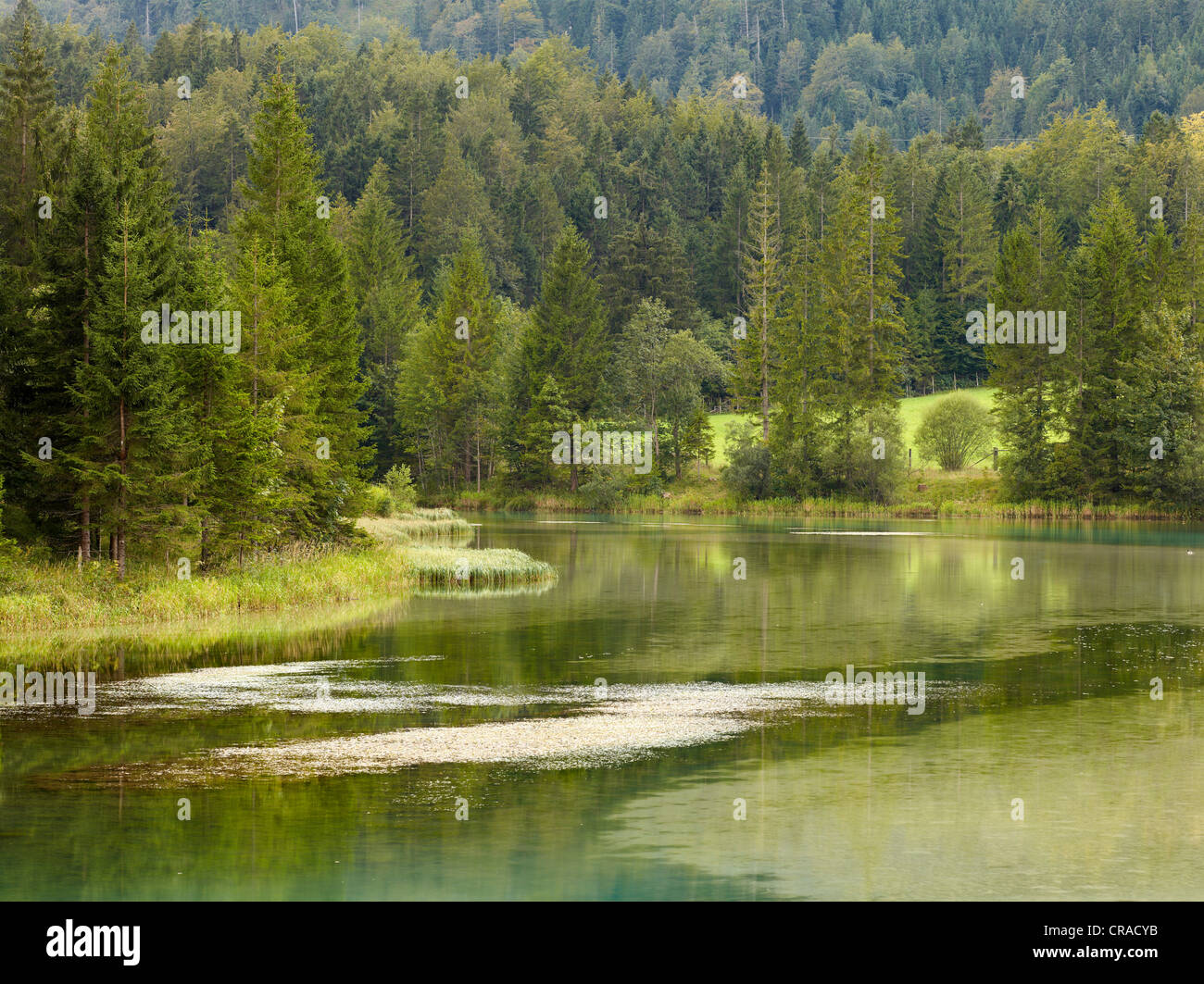 Sachensee lac près de Walgau, Bavaria, Germany, Europe Banque D'Images