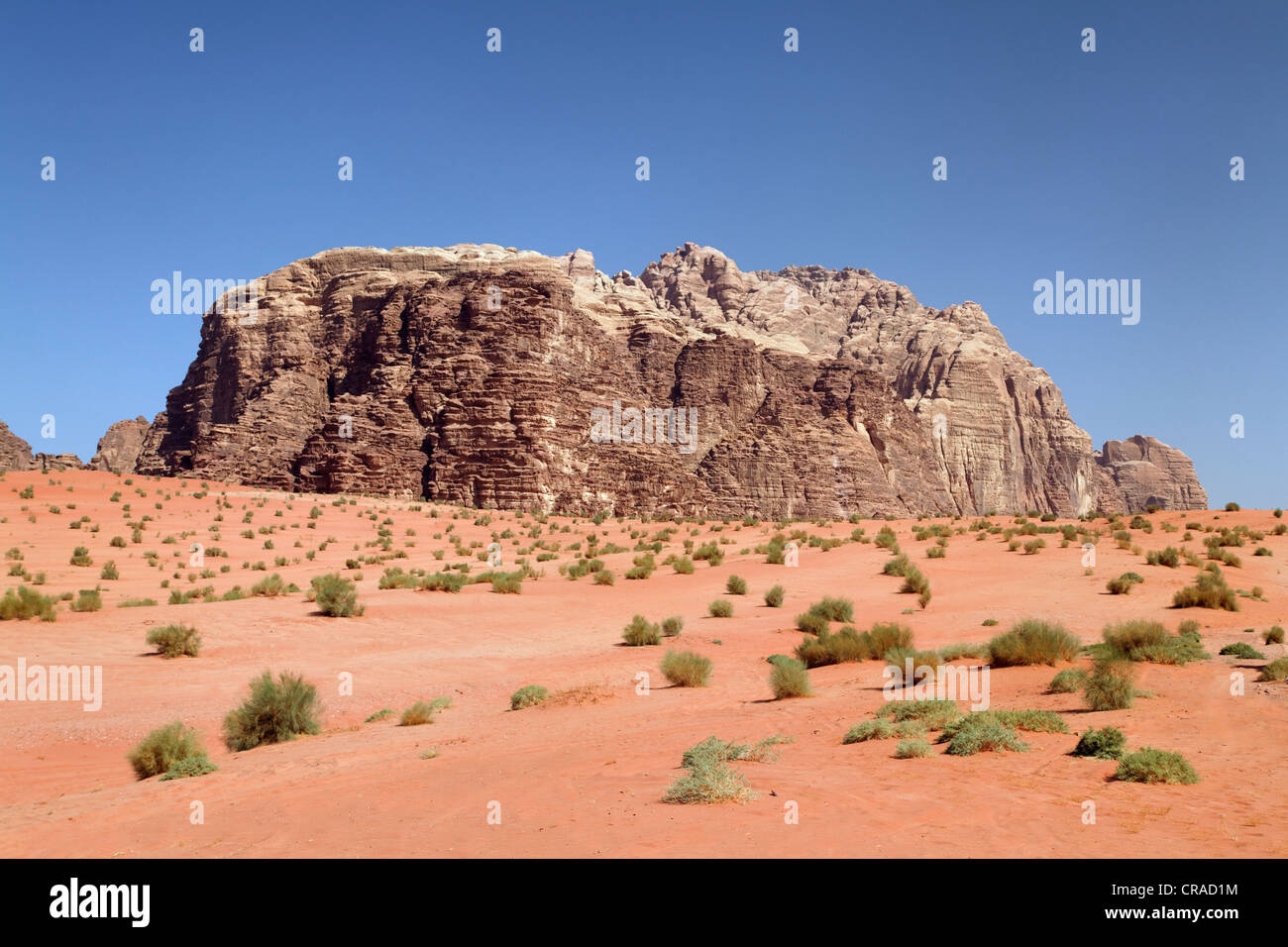 Montagnes, vastes plaines et les arbustes du désert, Wadi Rum, Royaume hachémite de Jordanie, Moyen-Orient, Asie Banque D'Images