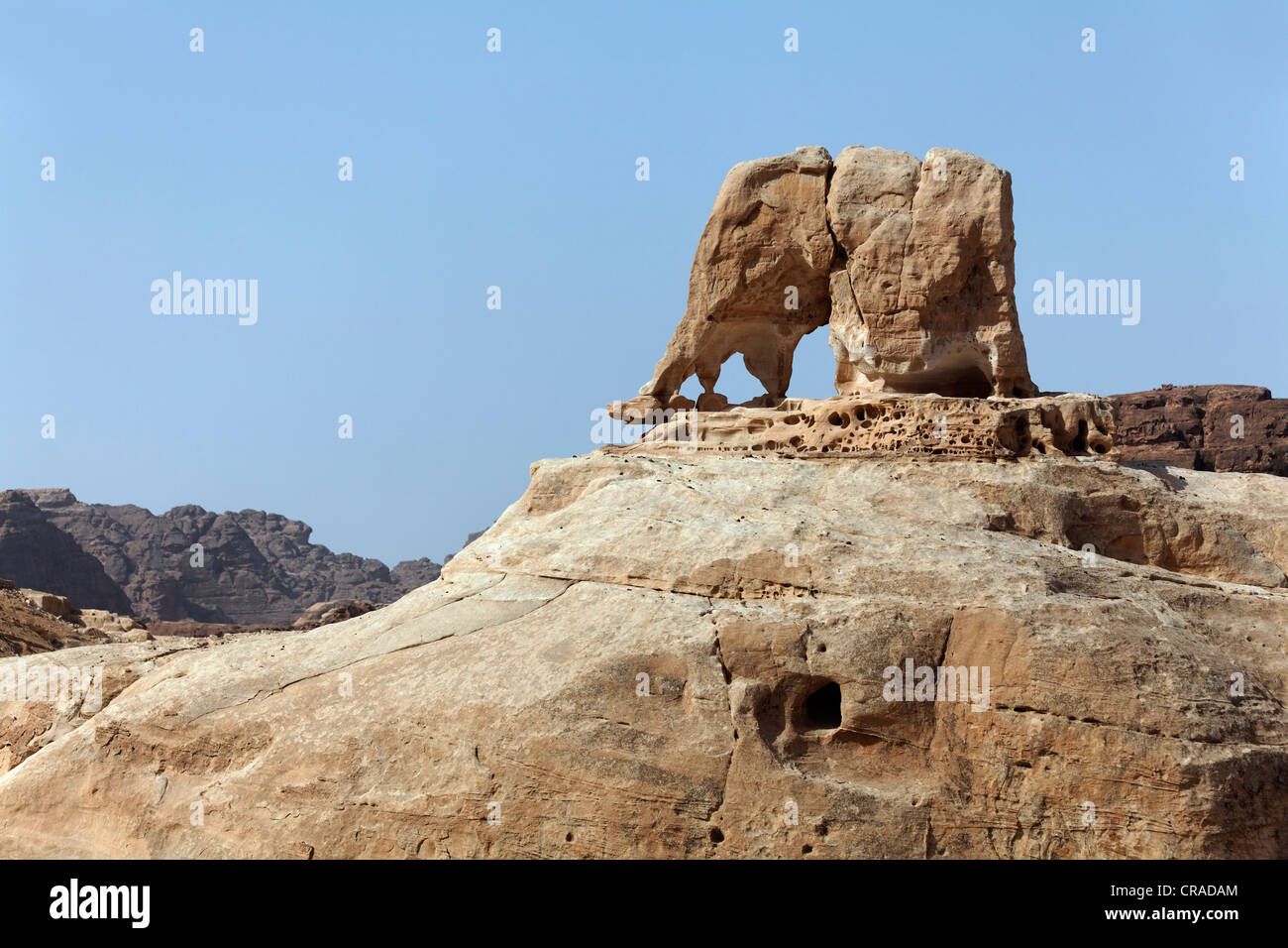 Roche de l'éléphant, près d'El Bared, sculpture en pierre naturelle, peu , la capitale des Nabatéens, rock city Banque D'Images