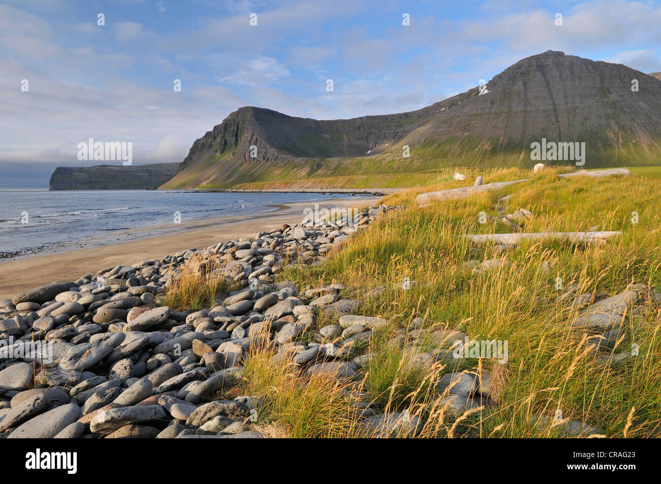 Pierres et bois flotté sur la plage, ou Haelavík Haelavik bay, Hornstrandir, Westfjords, Islande, Europe Banque D'Images