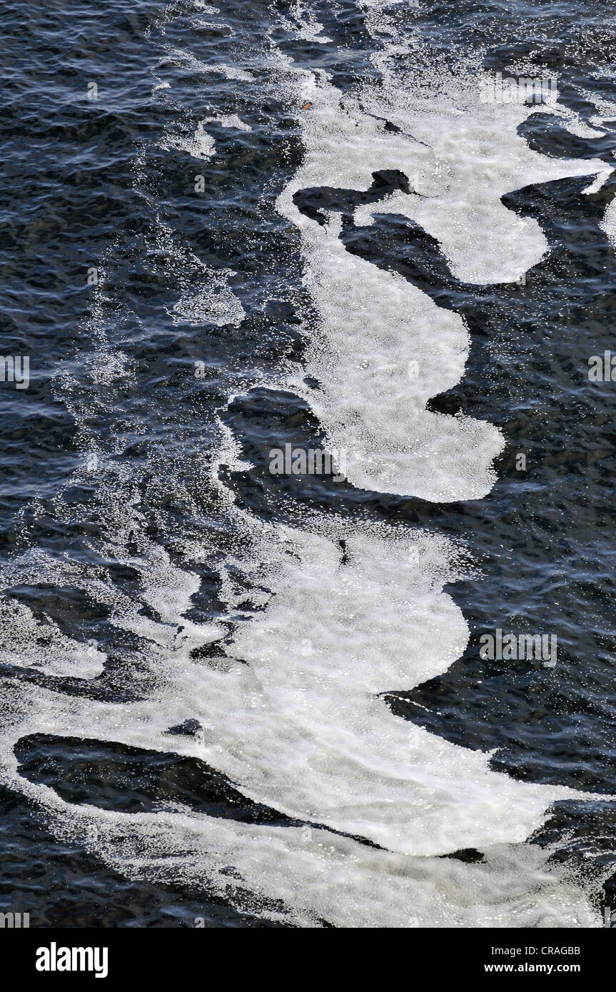 Écume de mer, large de Smidjuvikurbjarg, côte est de Hornstrandir, Westfjords, Islande, Europe Banque D'Images