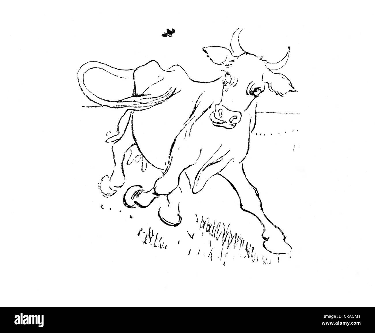Vache avec une mouche, illustration à la Chambre dans le soleil par Carl Larsson, 1917 Banque D'Images