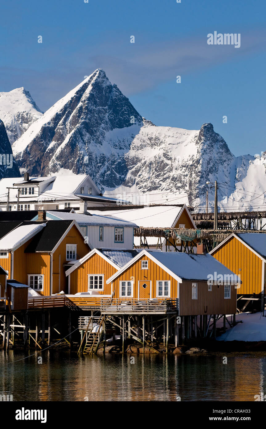 Rorbuer, maisons traditionnelles en bois, Reine de l'île de Lofoten, Moskenesøya, îles Lofoten, Norvège du Nord, Norvège, Europe Banque D'Images