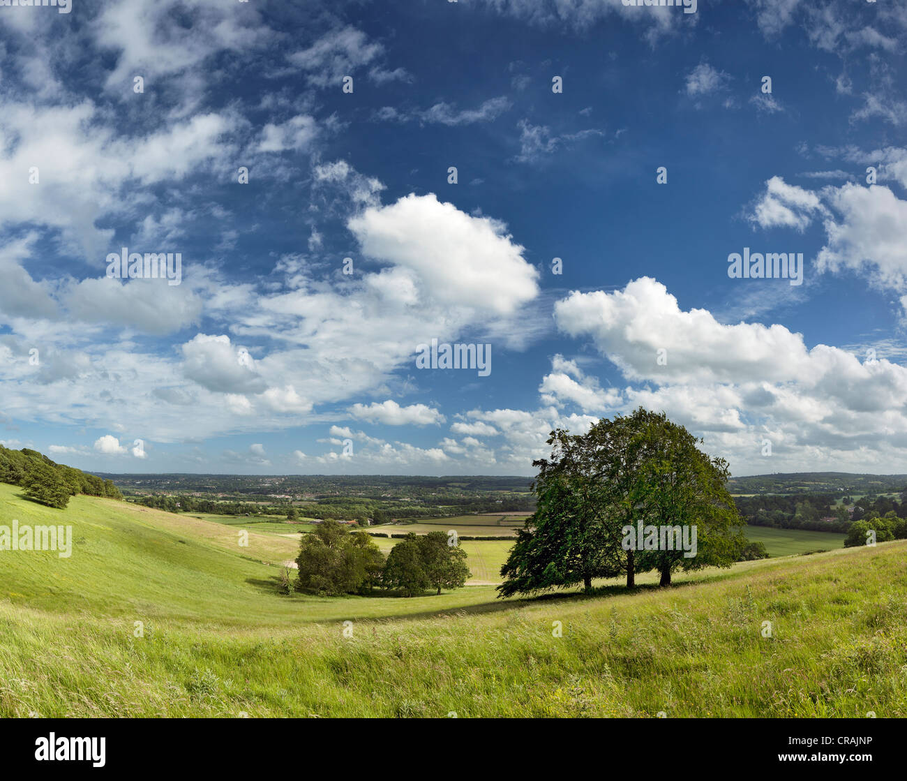 Vue à travers les dunes du nord en direction de Sevenoaks. Banque D'Images