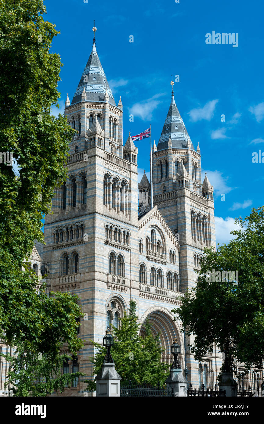 Natural History Museum, Londres, Angleterre, Royaume-Uni, Europe Banque D'Images