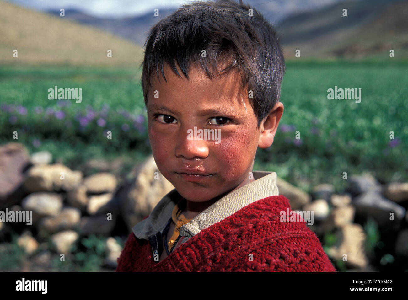 Boy, portrait, Kibber, Spiti, Himachal Pradesh, Inde himalayenne, l'Inde du Nord, Inde, Asie Banque D'Images