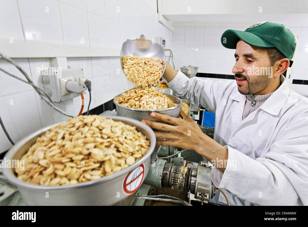 Frais de remplissage travailleur l'argan (Argania spinosa) amandes dans une presse pour extraire la précieuse huile d'argan, moulin à huile de Sidiyassine, Banque D'Images