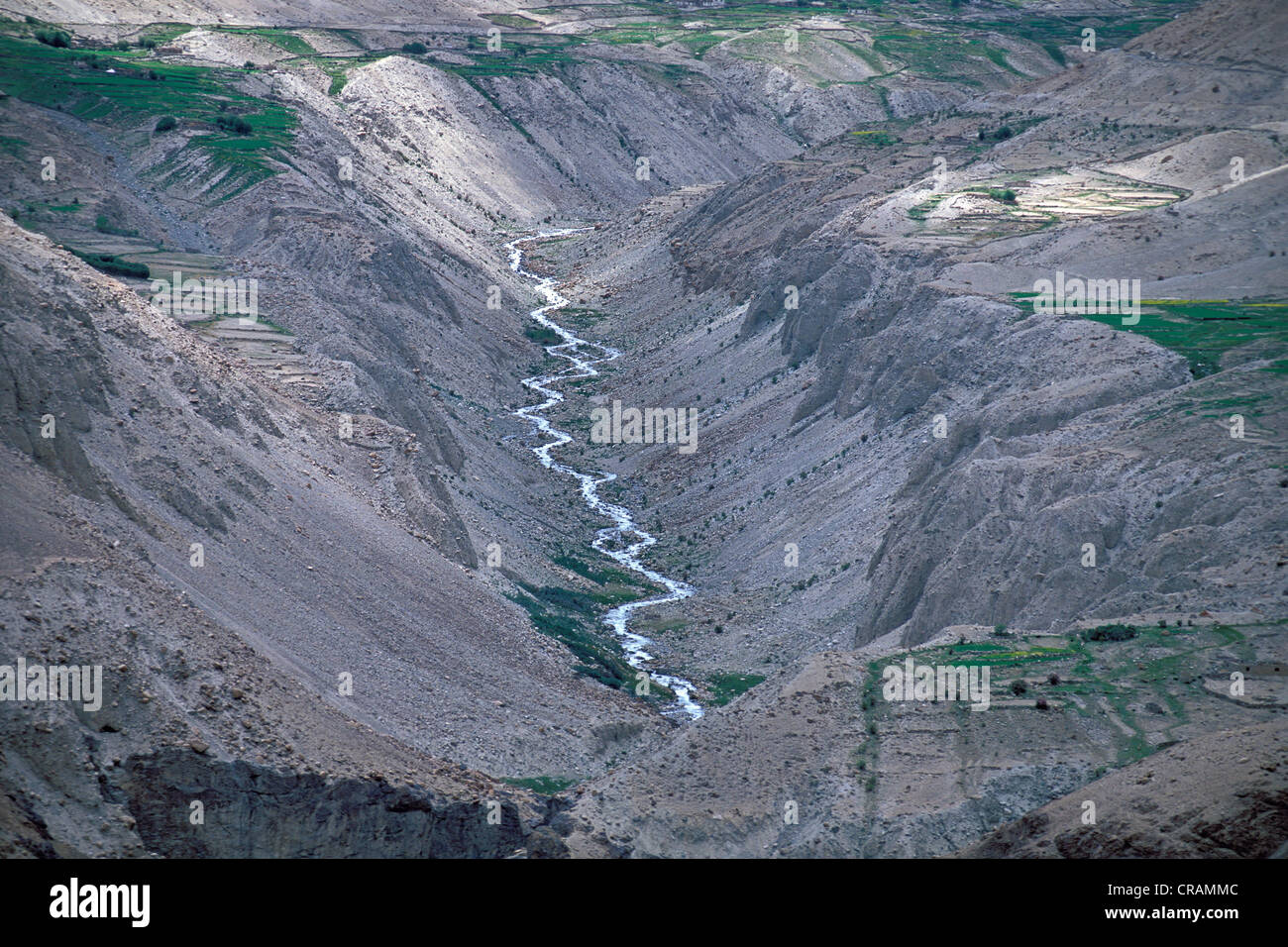 La Vallée de Nubra, Ladakh, Himalaya indien, le Jammu-et-Cachemire, l'Inde du nord, Inde, Asie Banque D'Images