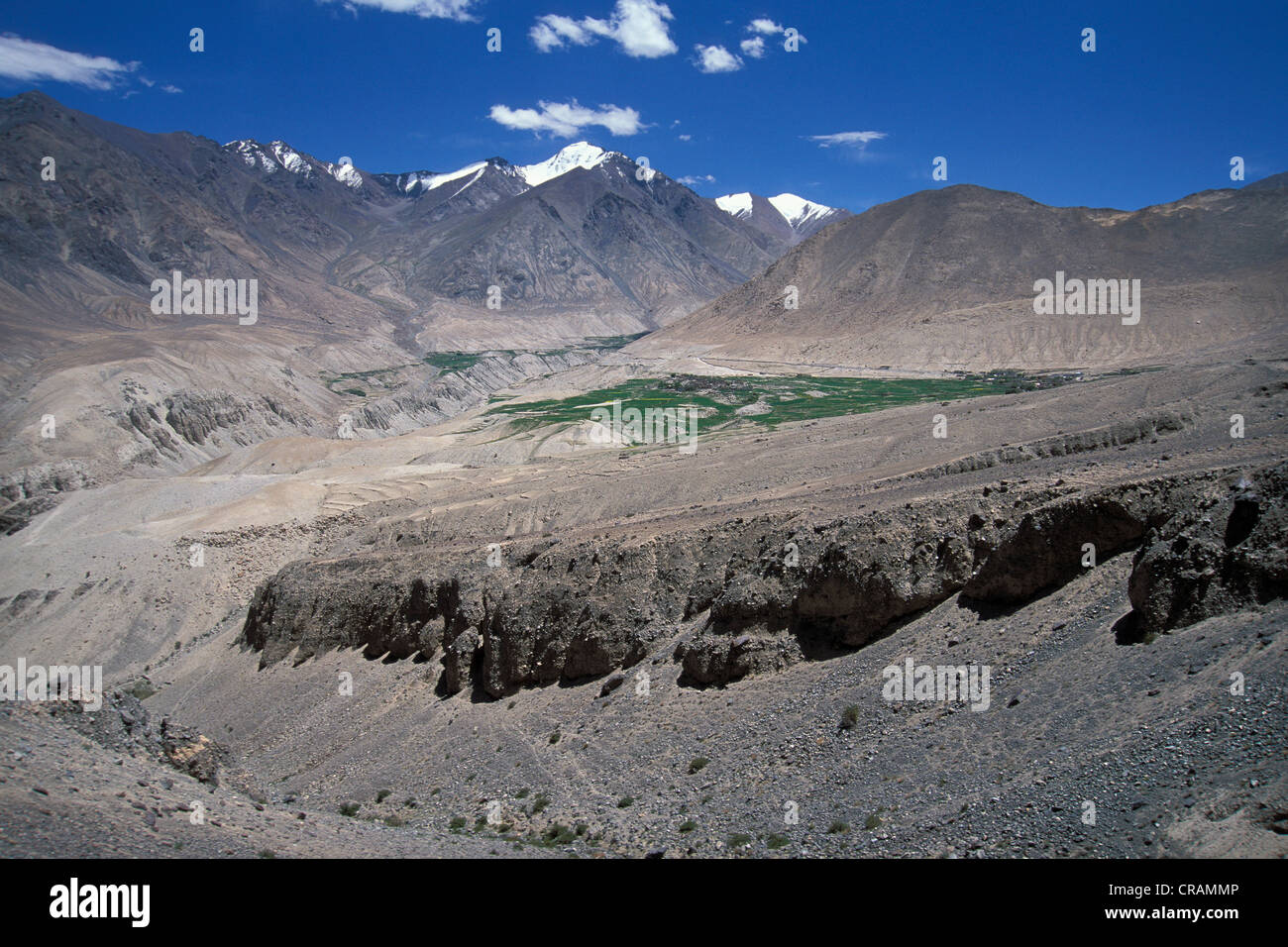 La Vallée de Nubra, Ladakh, Himalaya indien, le Jammu-et-Cachemire, l'Inde du nord, Inde, Asie Banque D'Images