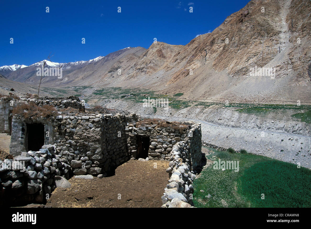 Ferme et champs, la Vallée de Nubra, Ladakh, Himalaya indien, le Jammu-et-Cachemire, l'Inde du nord, Inde, Asie Banque D'Images