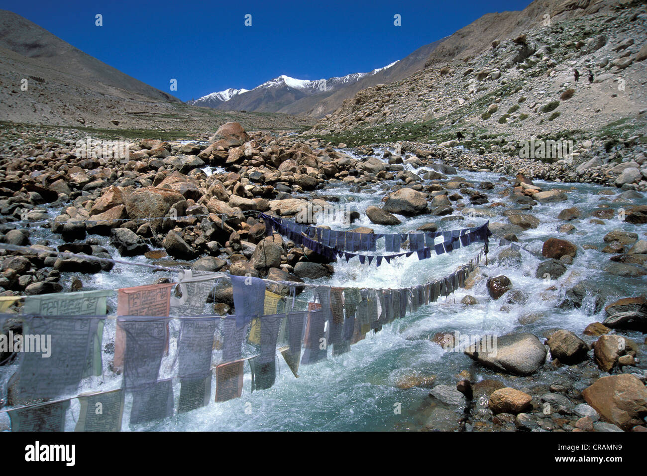 Drapeaux de prière près de Honupatta, Zanskar, Ladakh, Himalaya indien, le Jammu-et-Cachemire, l'Inde du nord, Inde, Asie Banque D'Images