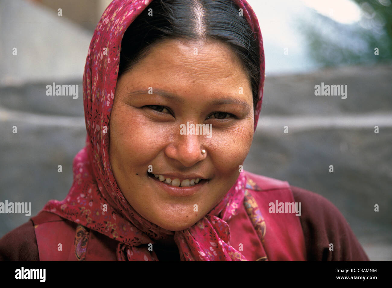 Woman, portrait, Dogs, La Vallée de Nubra, Ladakh, Himalaya indien, le Jammu-et-Cachemire, l'Inde du nord, Inde, Asie Banque D'Images
