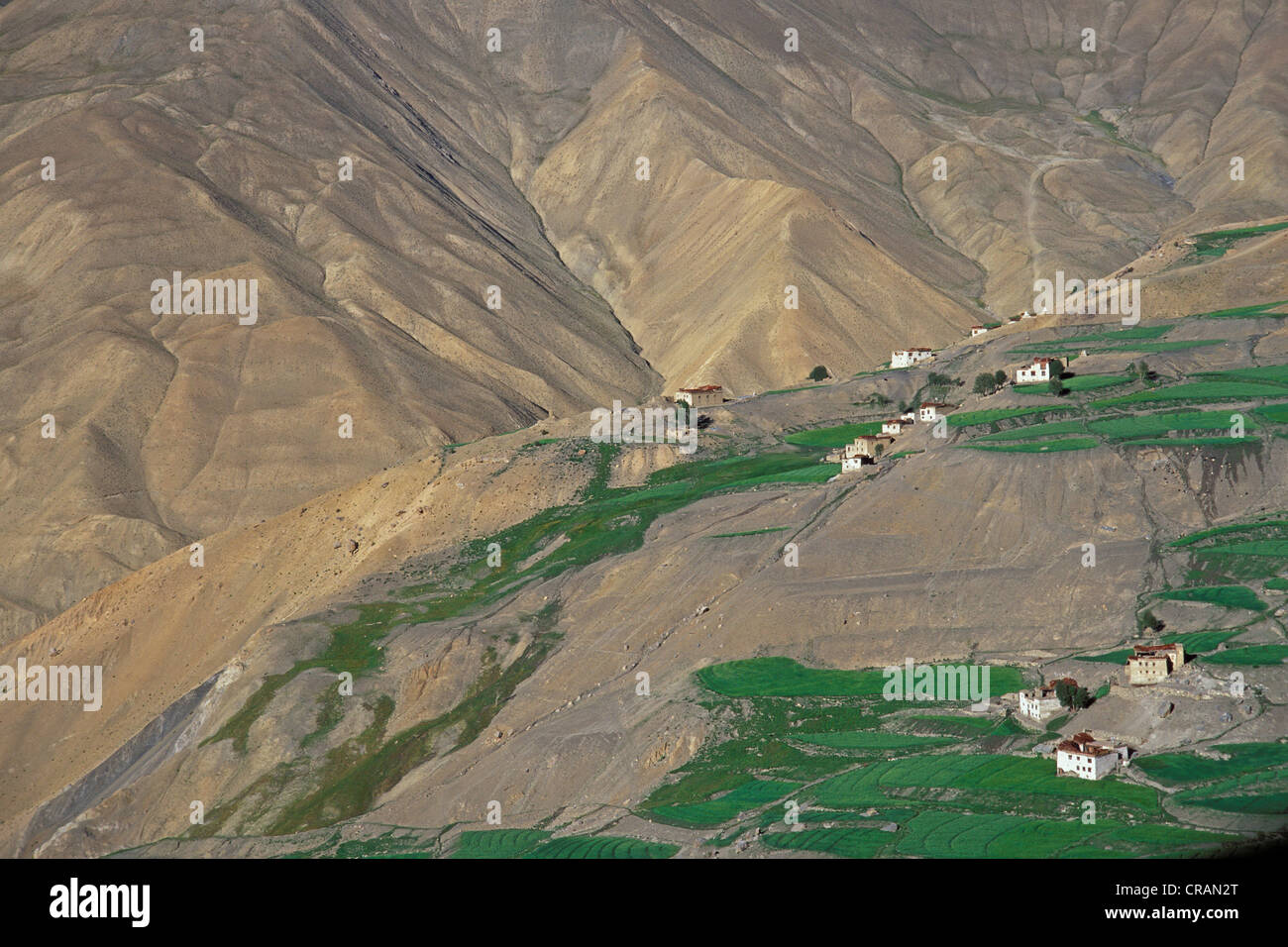 Maisons de Lingshed, Zanskar, Ladakh, Himalaya indien, le Jammu-et-Cachemire, l'Inde du nord, Inde, Asie Banque D'Images