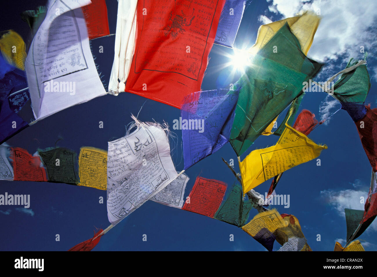 Les drapeaux de prières, Sengge-La, Zanskar, Ladakh, Himalaya indien, le Jammu-et-Cachemire, l'Inde du nord, Inde, Asie Banque D'Images