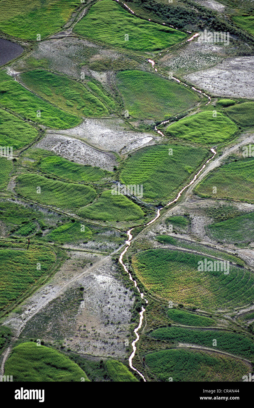 Champs, parcelles de terre et les canaux d'irrigation, près de Tongde Padum, Zanskar, Ladakh, Himalaya indien, le Jammu-et-Cachemire Banque D'Images